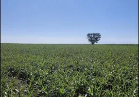 Foto 1 de Fazenda/Sítio com 3 Quartos à venda, 75m² em Area Rural de Sao Joao da Boa Vista, São João da Boa Vista