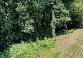 Foto 1 de Lote/Terreno à venda, 1900m² em Lagos do Bosque, Gramado