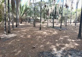 Foto 1 de Fazenda/Sítio com 2 Quartos à venda, 5000m² em Setor Central, Padre Bernardo