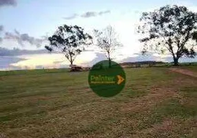 Foto 1 de Fazenda/Sítio à venda, 14520000m² em Zona Rural, Doverlândia