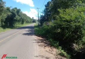 Foto 1 de Fazenda/Sítio com 1 Quarto à venda, 20000m² em Lomba Grande, Novo Hamburgo