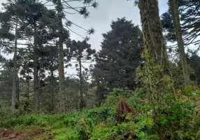 Foto 1 de Fazenda/Sítio com 1 Quarto à venda, 2500m² em , São Francisco de Paula