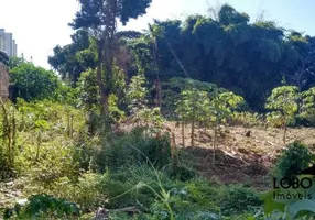 Foto 1 de Lote/Terreno à venda, 1000m² em Setor Negrão de Lima, Goiânia