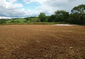 Foto 1 de Fazenda/Sítio com 3 Quartos à venda, 121000m² em Zona Rural, Monte Santo de Minas