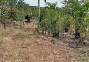 Foto 1 de Fazenda/Sítio à venda, 22945m² em Maravilha, Londrina