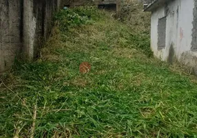 Foto 1 de Lote/Terreno à venda, 237m² em Penha, São Paulo