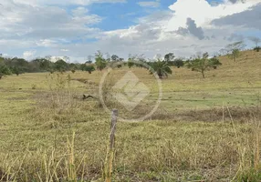 Foto 1 de Fazenda/Sítio à venda, 4378000m² em , Varjão