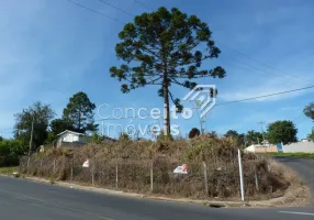 Foto 1 de Lote/Terreno à venda, 782m² em Ronda, Ponta Grossa