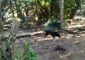 Foto 1 de Fazenda/Sítio com 2 Quartos à venda, 200m² em  Pedra de Guaratiba, Rio de Janeiro