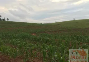 Foto 1 de Fazenda/Sítio à venda, 133m² em , Ribeirão Bonito