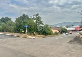 Foto 1 de Lote/Terreno à venda, 530m² em Centro, Ivoti