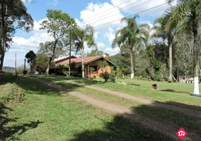 Foto 1 de Fazenda/Sítio com 3 Quartos à venda, 20000m² em Sao Gotardo Distrito, Flores da Cunha
