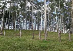 Foto 1 de Fazenda/Sítio à venda, 88400m² em , Presidente Getúlio