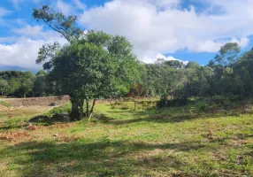 Foto 1 de Lote/Terreno à venda, 800m² em Mato Queimado, Gramado