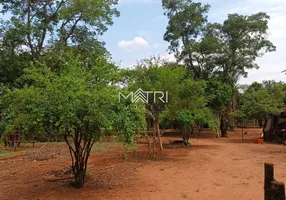 Foto 1 de Lote/Terreno à venda, 5000m² em Parque Planalto, Araraquara