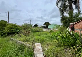 Foto 1 de Lote/Terreno à venda, 420m² em Boneca do Iguaçu, São José dos Pinhais