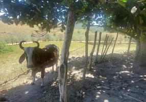 Foto 1 de Fazenda/Sítio com 3 Quartos à venda, 800m² em Zona Rural, Capela