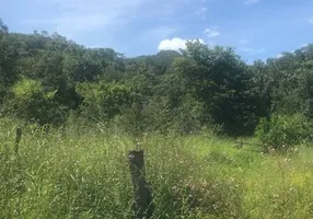 Foto 1 de Fazenda/Sítio com 2 Quartos à venda, 2000000m² em , Colinas do Sul