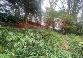 Foto 1 de Lote/Terreno à venda, 454m² em Jardim Ibiratiba, São Paulo