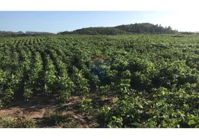 Foto 1 de à venda, 62500m² em Centro, Encruzilhada do Sul