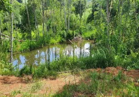 Foto 1 de Fazenda/Sítio à venda, 20000m² em Zona Rural, Pato Branco