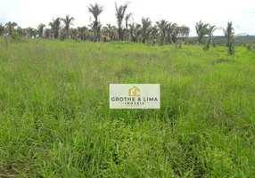 Foto 1 de Fazenda/Sítio com 10 Quartos à venda, 800m² em Zona Rural, Recursolândia