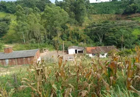 Foto 1 de Fazenda/Sítio com 3 Quartos à venda, 72000m² em , Guaxupé