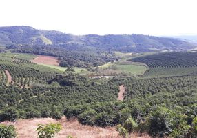 Fazenda/Sítio 4800 m² em Zona Rural em Jacutinga, por R$ 530.000 - Viva Real