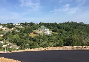 Foto 1 de Lote/Terreno à venda, 443m² em Santo Antão, Bento Gonçalves