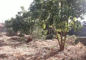 Foto 1 de Lote/Terreno à venda, 490m² em Bosque das Palmeiras, Campinas