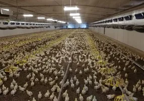 Foto 1 de Fazenda/Sítio com 8 Quartos à venda, 266200m² em , Maripá