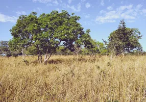 Foto 1 de Fazenda/Sítio com 3 Quartos à venda, 120m² em Zona Rural, Mirabela