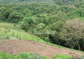 Foto 1 de Lote/Terreno à venda, 44724m² em Parque Varanguera, São Roque