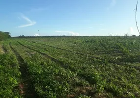 Foto 1 de Fazenda/Sítio com 3 Quartos à venda, 42000m² em Corrego de Sao Mateus, Boa Saúde