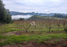 Foto 1 de Fazenda/Sítio com 1 Quarto à venda, 65000m² em , Nova Pádua