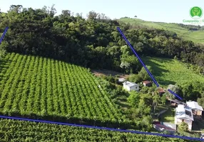 Foto 1 de Fazenda/Sítio com 3 Quartos à venda, 120000m² em Zona Rural, Monte Belo do Sul