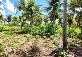 Foto 1 de Fazenda/Sítio à venda, 150m² em Jabaco, Igarassu