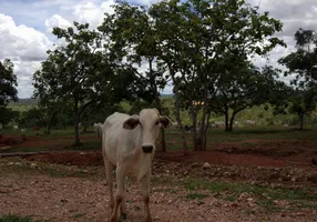 Foto 1 de Lote/Terreno à venda, 20000m² em Centro, Jequitibá