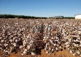 Foto 1 de Fazenda/Sítio com 15 Quartos à venda, 17000m² em Centro, Água Boa