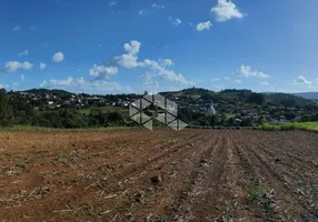 Foto 1 de Lote/Terreno com 1 Quarto à venda, 33000m² em Centro, Presidente Lucena