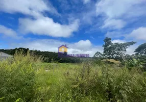 Foto 1 de Lote/Terreno à venda, 2400m² em Curral, Ibiúna