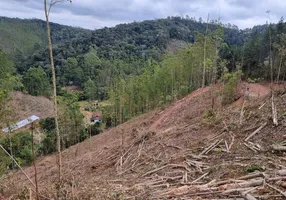 Foto 1 de Lote/Terreno à venda, 44000m² em , Marechal Floriano