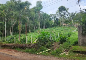 Foto 1 de Lote/Terreno à venda, 1783m² em Recanto Alpina, Santa Isabel