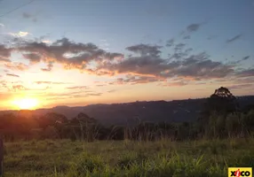 Foto 1 de Fazenda/Sítio à venda, 35000m² em , Nova Petrópolis