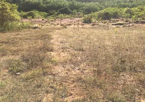 Foto 1 de Lote/Terreno à venda, 540m² em Pirangi do Norte, Parnamirim