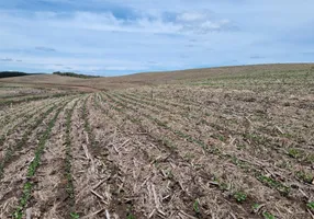 Foto 1 de Fazenda/Sítio com 1 Quarto à venda, 4000000m² em Centro, Lages