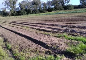 Foto 1 de Galpão/Depósito/Armazém à venda, 47228599m² em Belém Novo, Porto Alegre