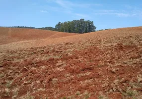 Foto 1 de Fazenda/Sítio com 3 Quartos à venda, 70m² em Zona Rural, Ribeirão Branco