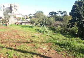 Foto 1 de Lote/Terreno à venda, 500m² em Vila Cruzeiro, Passo Fundo