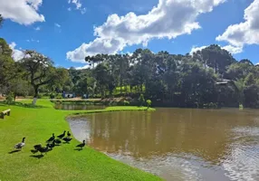 Foto 1 de Fazenda/Sítio com 1 Quarto à venda, 7476m² em Espigão das Antas, Mandirituba